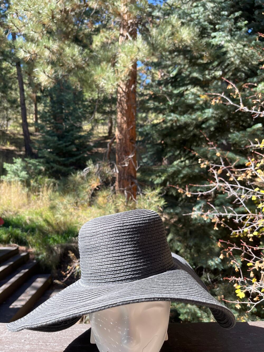 J. Crew Factory Paper Straw Black Sun Hat
